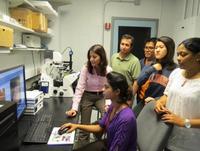 Vielseitiger Einsatz des JPK NanoWizard®_Rasterkraftmikroskops in der Grenzflächen- und Biomaterialforschung an der Universität Illinois, Urbana-Champaign