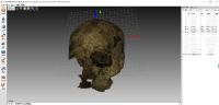 Artec 3D-Scanner für den Erhalt historischer Funde am Ausgrabungsort der berühmten chinesischen Terrakotta-Armee eingesetzt