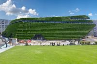 Grüne Insel im Zentrum von Düsseldorf - Gebäudebegrünung machts möglich