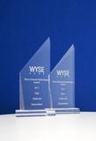 Auszeichnung im Doppelpack: CEMA gewinnt Wyse Awards
