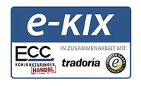 Sonderauswertung des e-KIX veröffentlicht