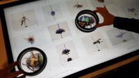 Neuartige Speziallupe für Multitouch-Displays