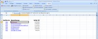 Microsoft Excel de luxe für KMU