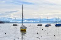 Können sich deutsche Firmen um eine Zuerich-Domain bewerben?
