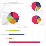 Cyber-Risiken werden vom Top-Management wahrgenommen - nur in Behörden zu häufig nicht