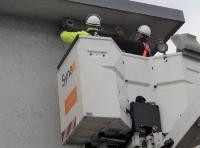 Vogelschutz in Bammental