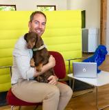 Bello und Büro? Warum sich Hunde positiv auf das Arbeitsklima auswirken