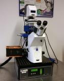 JPK Instruments gibt die Zusammenarbeit mit Abberior Instruments und die Eröffnung eines gemeinschaftlichen STED-AFM Demonstrationszentrums in Berlin bekannt
