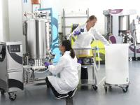 Merck unterstützt Celonic beim Ausbau ihrer Upstream-Kapazitäten mit Mobius® Einweg-Bioreaktoren