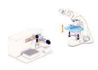 Cost and time efficient linear motion: Thomson MLA series hybrid stepper motor actuators available from Heason Technology