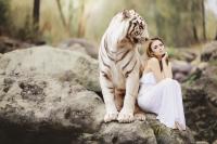 So machen cn-Domains Ihre Firma zum Tiger in China!