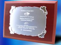 Meilhaus Electronic erhält Excellence Award 2011