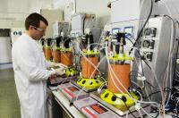 Merck kooperiert mit Angiex zur Beschleunigung der Klinikreife einer neuen Krebstherapie