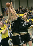 Grundfos ist Sponsor der Handball EM 2010 in Österreich