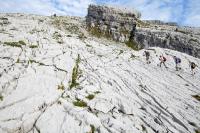 Jetzt kostenloses Wanderprogramm bestellen
