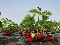 Virtuelle 3D-Landschaften im Garten des Bundespräsidenten