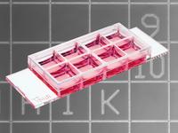 ibidi Produktneuheit: ibidi µ-Slide 8 Well Grid-500 zum Zählen und Wiederfinden von Zellen