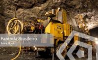 Brio Gold: Kursexplosion nach Übernahmeofferte