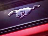 Ford Mustang: Bill Ford wird die nächste Generation der Sportwagen-Ikone am 5. Dezember in Barcelona vorstellen