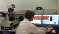 Kraftmessungen mit dem JPK NanoWizard® Rasterkraftmikroskop an der Monash Universität, Australien