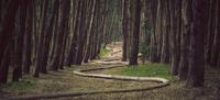 Kunden-Segmentierung - So analysieren Sie die Customer Journey Ihrer Kunden durch Ihre Segmente