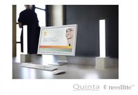Tageslichtmangel im Winter? Nicht mit der Needlite LED Lampe