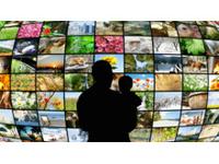 Eutelsat TV Observatory 2016 für Deutschland belegt neues Wachstum für Eutelsat TV-Schlüsselpositionen
