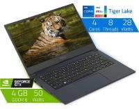 Tiger im Schafspelz!