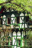 Viel Farbigkeit am Wannsee