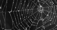 Stellungnahme zur Verschärfung des IT-Sicherheitsgesetzes