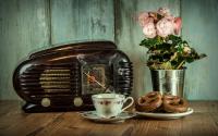 Erfolgreicher Start der Radio-Domains
