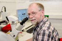 Biochemie: Wenn das Immunsystem Hirnzellen bekämpft