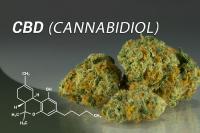 Centurion Minerals strebt ins CBD-Destillatgeschäft in Uruguay