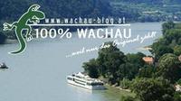 Aktuelle Events für den Urlaub an der Wachau