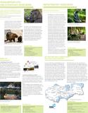 Heidelbergs Tourismus grünt