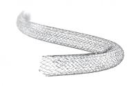Global Arterial Vascular Stent Market 2019 Analysis and Forecast 2026