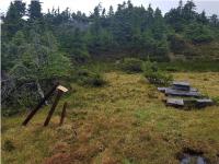 Skeena Resources - mit solchen Ergebnissen hat niemand gerechnet