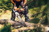 STIHL ist eines der beliebtesten Familienunternehmen Deutschlands