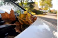 TÜV SÜD: Jetzt lieber unter der Laterne als unter dem Baum parken