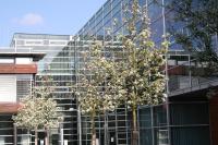 Berufsbegleitendes Masterstudium: Bewerbungsphase für das MBA- Fernstudienprogramm startet am 3. Mai