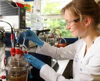 Benzinalternative: Forscherin der TU stellt Kraftstoff mit neuem bioelektrochemischen Verfahren her