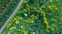 Climate Strategy 2030: Knorr-Bremse drives forward extensive climate action measures