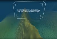 Im Einkaufszentrum "dem Meer auf den Grund gehen"