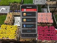 Verwaltung von CC Containern für den Blumenhandel