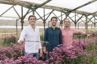 Erfolgreiche Finanzierungsrunde: Blumenmarkt-Gamechanger COLVIN sammelt 14 Millionen Euro ein