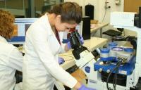 Zellstudien mit dem JPK NanoWizard® Rasterkraftmikroskop am Research Centre for Nanometer-scale Science & Advanced Materials der Jagiellonen-Universität Krakau