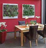 Fassadengarten compact - Komplett-Fassadenbegrünungssystem für innen