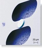 Licht und Mikromechanik im Gleichklang
