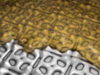 Wie Bakterien Nano-Cluster aus Edelmetall herstellen