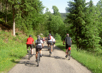 Fitness für´s Handwerk